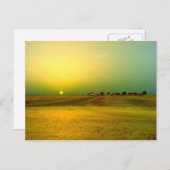 Desert Sunrise Collage Briefkaart (Voorkant / Achterkant)