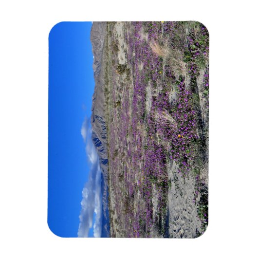 Desert Super Bloom 2019 Borrego Springs CA Magneet (Verticaal)