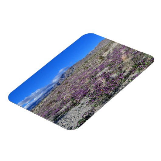 Desert Super Bloom 2019 Borrego Springs CA Magneet (Linkerzijde)