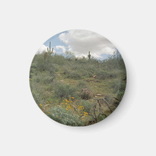 Desert Symphony Desert Refkoelkast Magnet Magneet