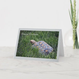 Desert Tortoise in Green Grass Wenskaart Kaart