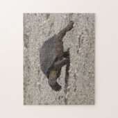 Desert Tortoise Legpuzzel (Verticaal)