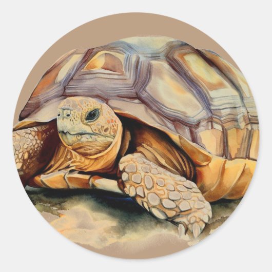 Desert Tortoise Ronde Stickers (Voorkant)