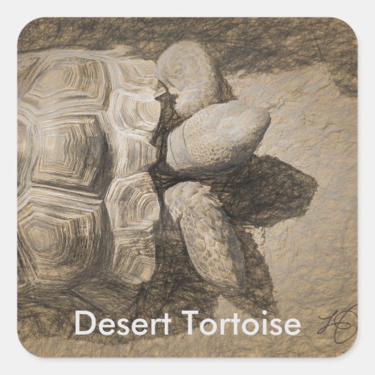 Desert Tortoise Stickers (Voorkant)