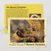Desert Tortoises dreigen met uitsterven te worden  Briefkaart (Voorkant / Achterkant)
