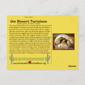 Desert Tortoises dreigen met uitsterven te worden  Briefkaart (Achterkant)