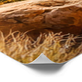 Desert Trail Between Rocky Canyons Poster (Hoek)