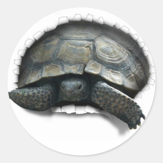 DESERT TURTLE, KOMEND OP YA RONDE STICKER (Voorkant)
