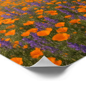 Desert Wildflowers Greeting Card - Spring Western Poster (Hoek)