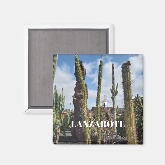 “Desert Windmill and Cactus” Magnet (Recto/Verso)