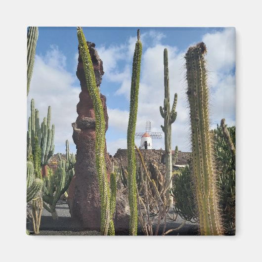 “Desert Windmill and Cactus” Magnet (Devant)