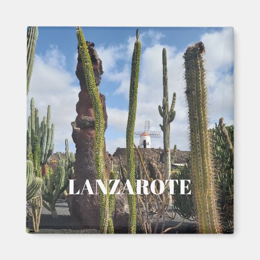 “Desert Windmill and Cactus” Magnet Magneet (Voorkant)