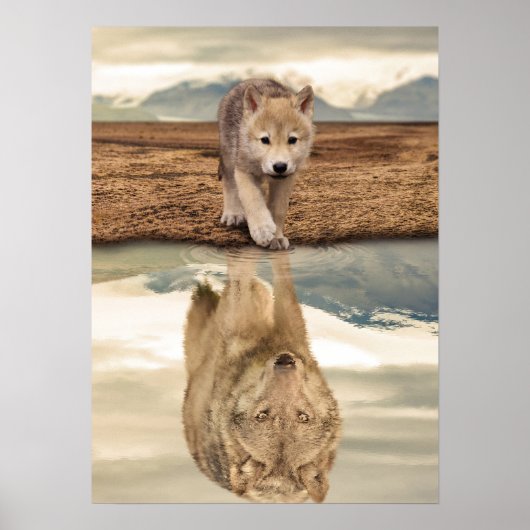 Desert Wolf Pup Water Reflection Poster (Voorkant)