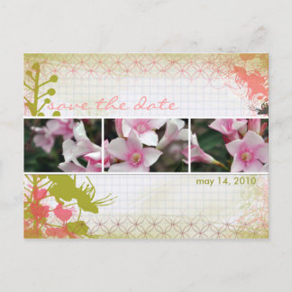 DesertBotanicals Briefkaart - graph floral