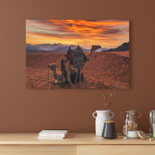 Deserts   Bactrian Camel Egypt Sand Dune Canvas Afdruk