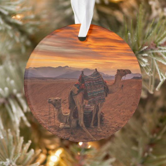 Deserts | Bactrian Camel Egypt Sand Dune Ornament (Boom)