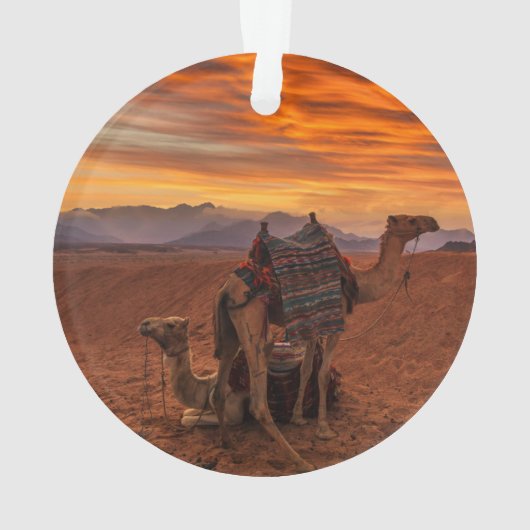 Deserts | Bactrian Camel Egypt Sand Dune Ornament (achterkant)