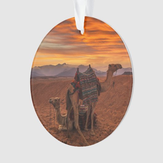 Deserts | Bactrian Camel Egypt Sand Dune Ornament (voorkant)