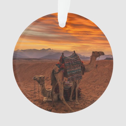 Deserts | Bactrian Camel Egypt Sand Dune Ornament (voorkant)