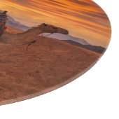 Deserts | Bactrian Camel Egypt Sand Dune Snijplank (Hoek)