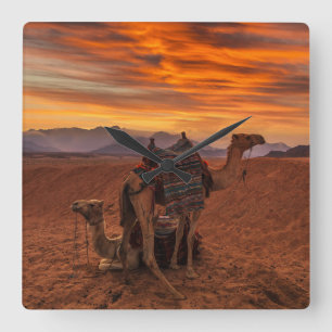 Deserts Bactrian Camel Egypt Sand Dune Vierkante Klok