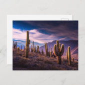 Deserts | Cactus Landscape Argentina Briefkaart (Voorkant / Achterkant)