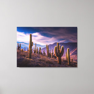 Deserts   Cactus Landscape Argentina Canvas Afdruk