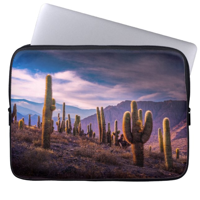 Deserts | Cactus Landscape Argentina Laptop Sleeve (Voorkant)