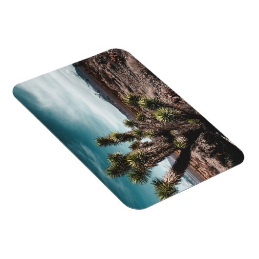 Deserts | Cholla Cactus Magneet (Rechterzijde)