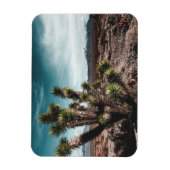 Deserts | Cholla Cactus Magneet (Verticaal)