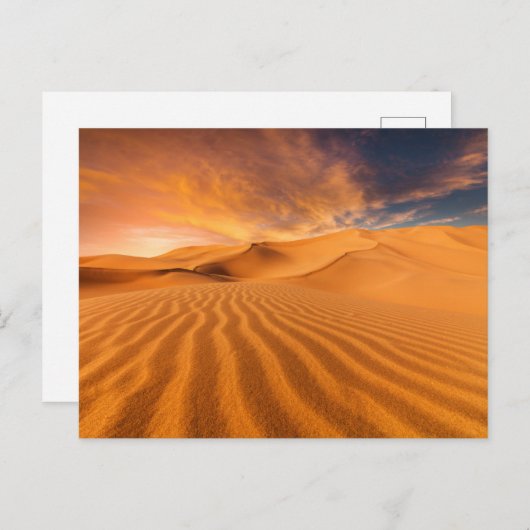 Deserts | Desert in the United Arab Emirates Briefkaart (Voorkant / Achterkant)