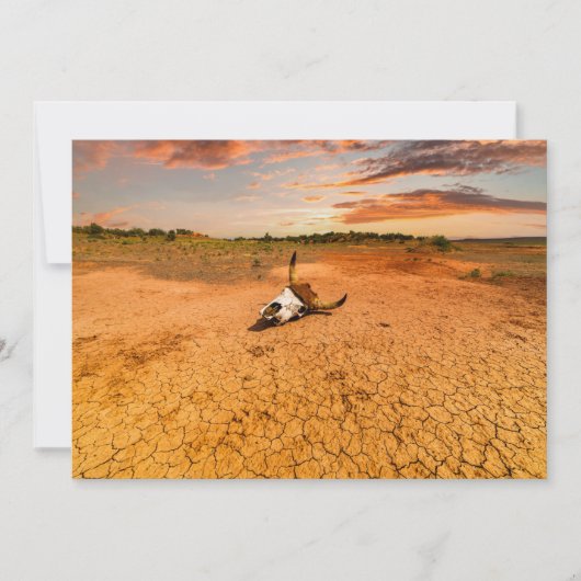 Deserts | Desert with Cow Skull Bedankkaart (Voorkant)
