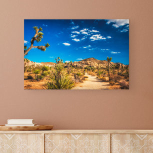Deserts Joshua Tree National Park Canvas Afdruk