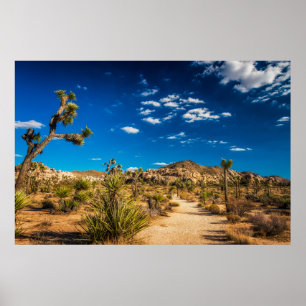 Deserts Joshua Tree National Park Poster