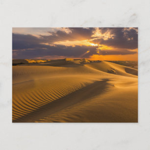Deserts   Landscape of Sand Dunes Briefkaart