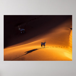 Deserts Namib Nkluft National Park Kenya Poster