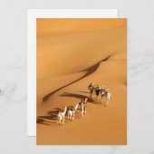 Deserts | Tuareg Walk with Camels Bedankkaart (Voorkant / Achterkant)