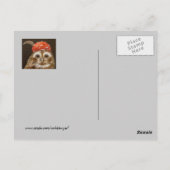 Desi the owlet carte postale (Dos)