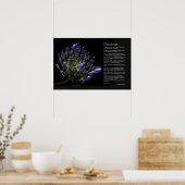 Desiderata - Agapanthus, Afrikaanse Lily Poster (Keuken)