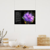 Desiderata - Bachelor's Button Cornflower Poster (Keuken)