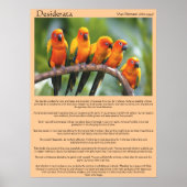 Desiderata Canards orange et vert Posters (Devant)