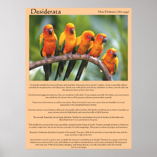 Desiderata Canards orange et vert Posters (Devant)
