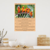 Desiderata Canards orange et vert Posters (Cuisine)
