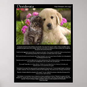 Desiderata chatons à côté d'un chiot Posters