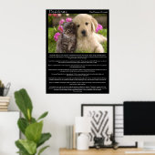 Desiderata chatons à côté d'un chiot Posters (Bureau à domicile)