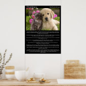Desiderata chatons à côté d'un chiot Posters (Cuisine)