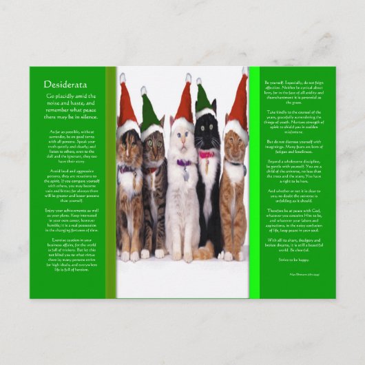 DESIDERATA Christmas Cats Briefkaart (Voorkant)