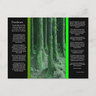 DESIDERATA Dark Mossy Forest Briefkaart