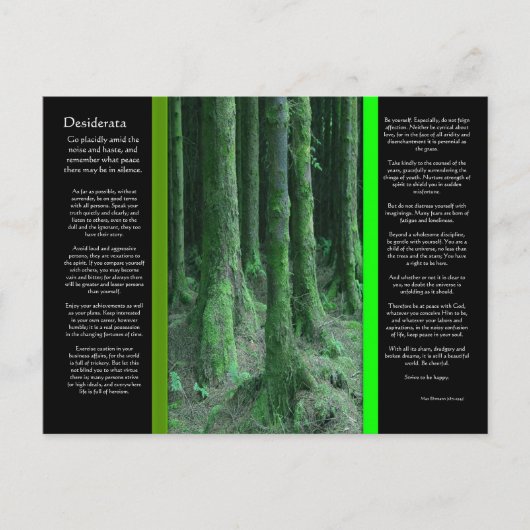 DESIDERATA Dark Mossy Forest Briefkaart (Voorkant)