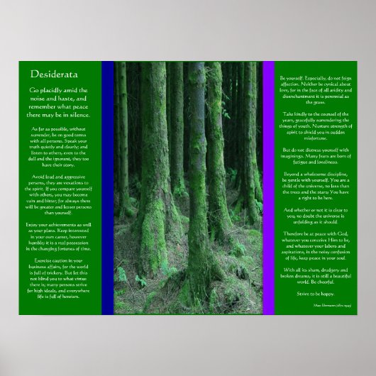 DESIDERATA Dark Mossy Forest Posters (Voorkant)
